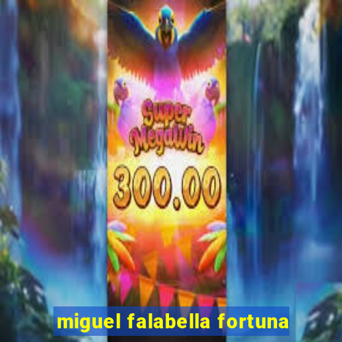 miguel falabella fortuna